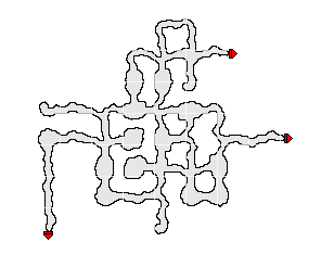 map/迷いの森_2.png
